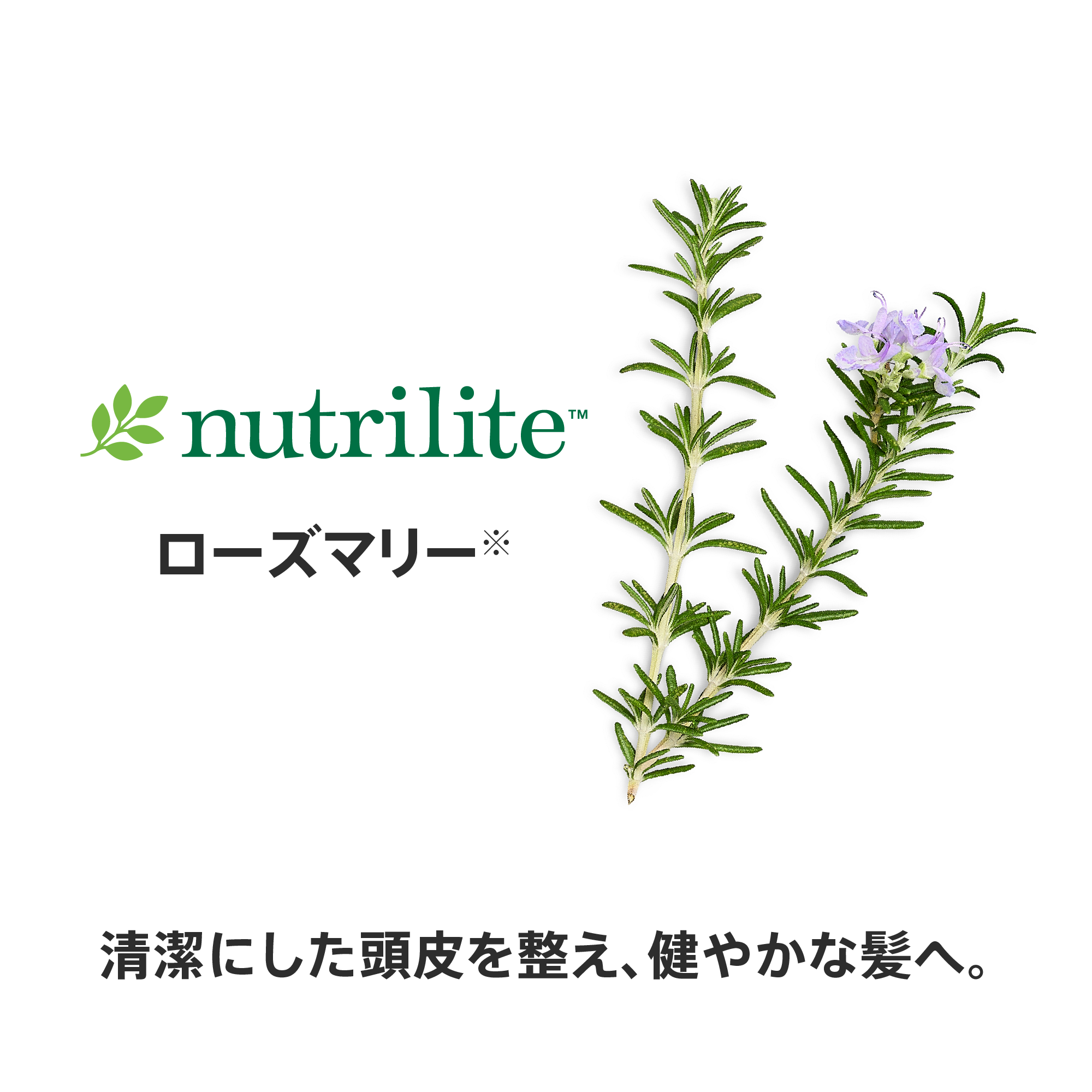 フィールクリーン シャンプー （地肌ケア） 750mL) ：Amway(日本