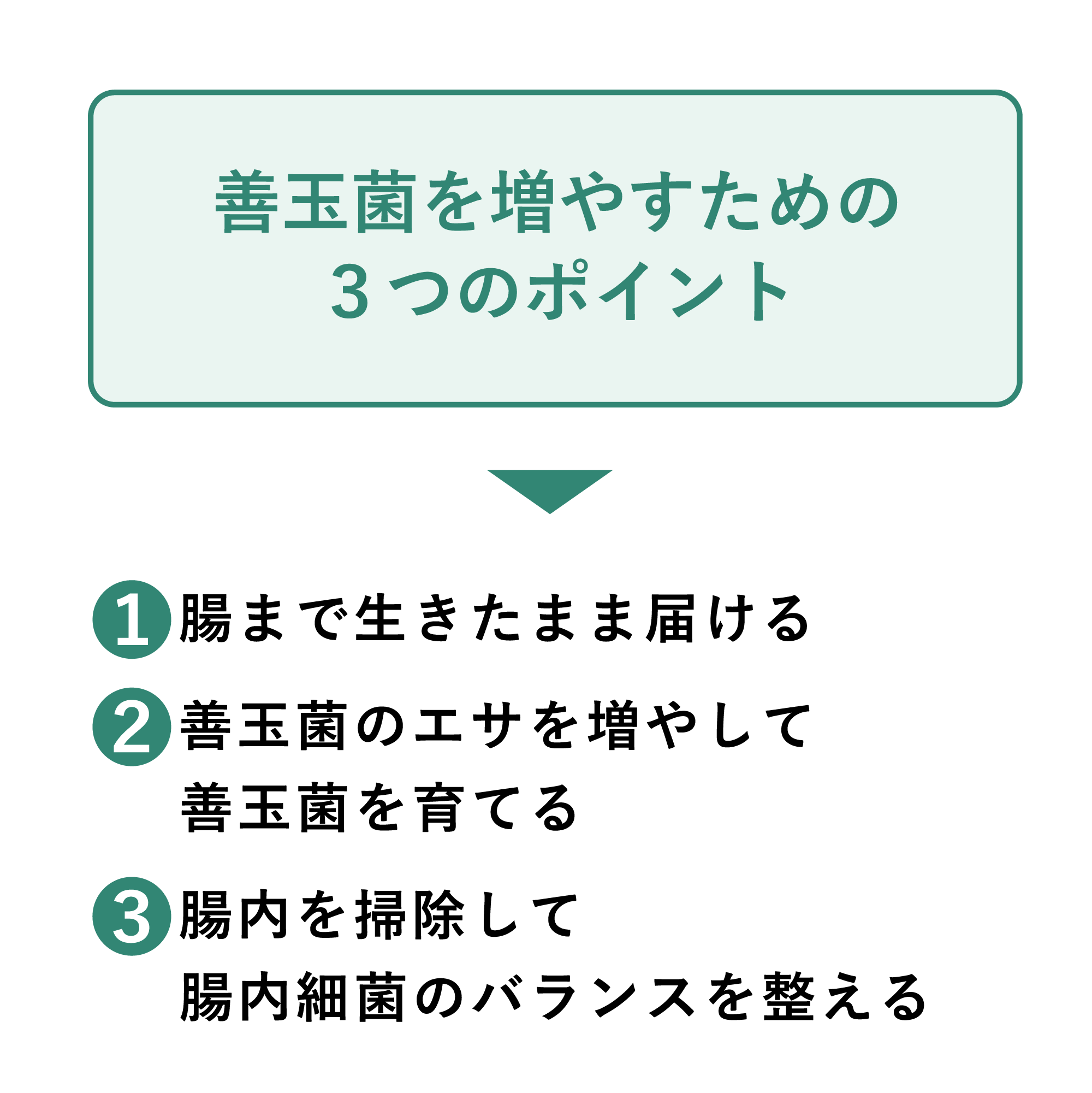 ニュートリ ファイバー パウダー) ：Amway(日本アムウェイ) | amwaylive