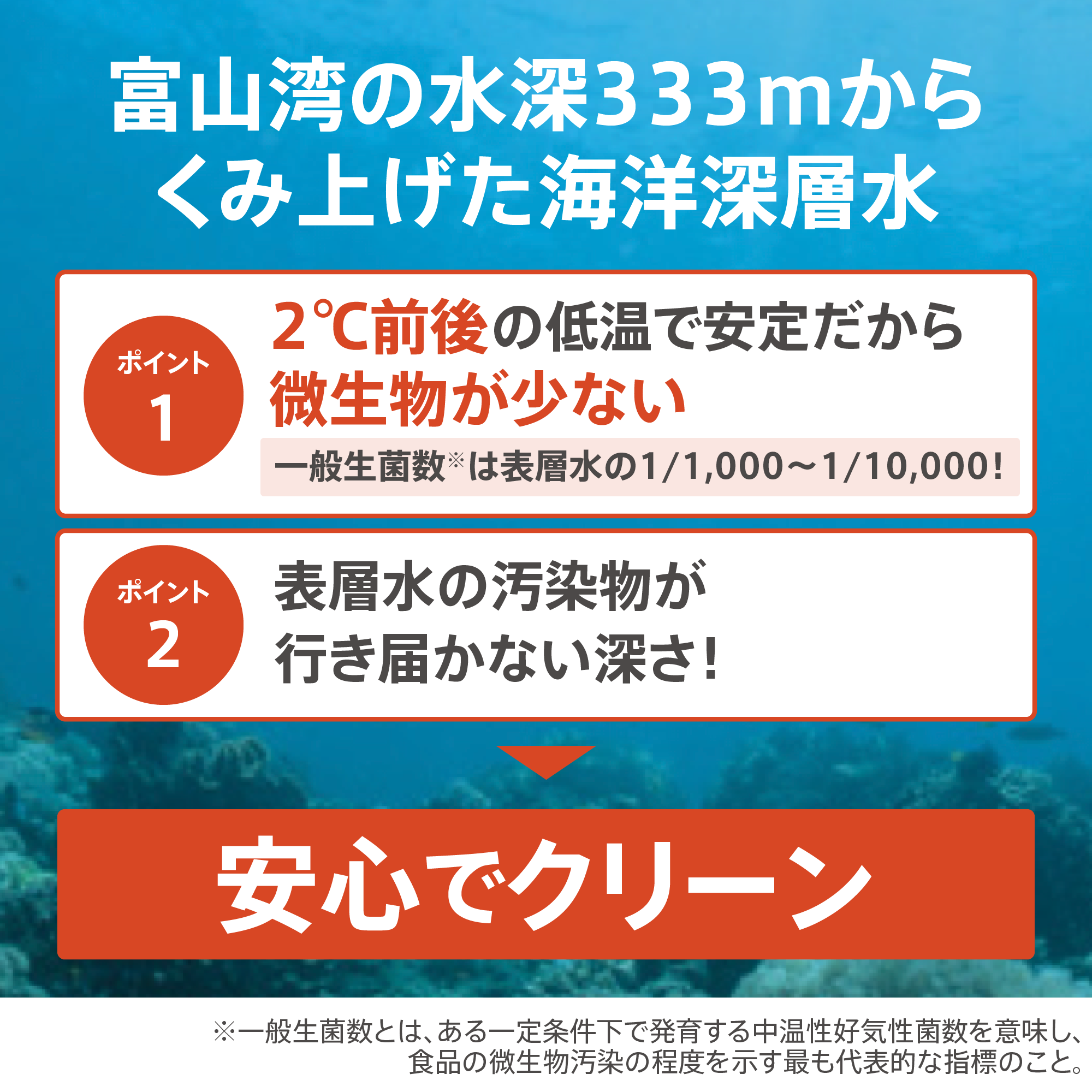 アムウェイ 塩 ２点 - 調味料