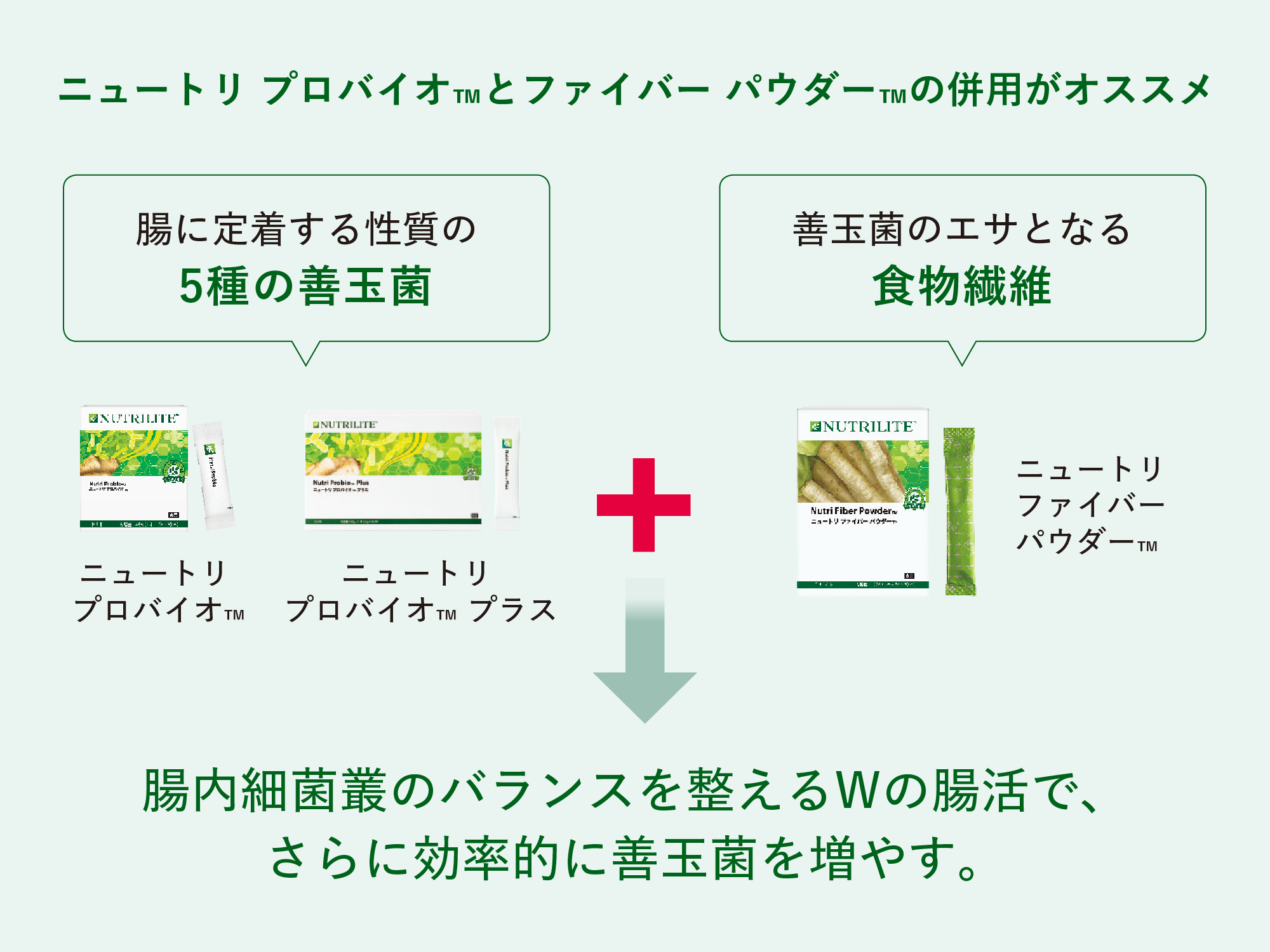 アムウェイ ニュートリファイバーパウダー3箱 - その他