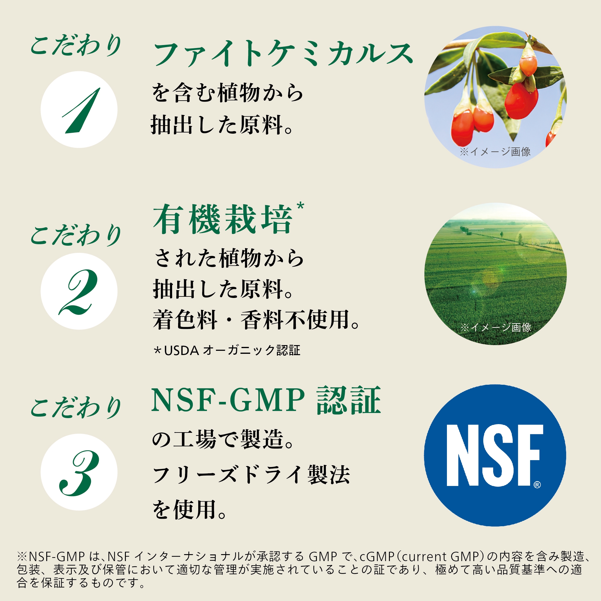 Plant to Table by Nutrilite 朝鮮人参ウーロンティー：Amway(アムウェイ)Shopping