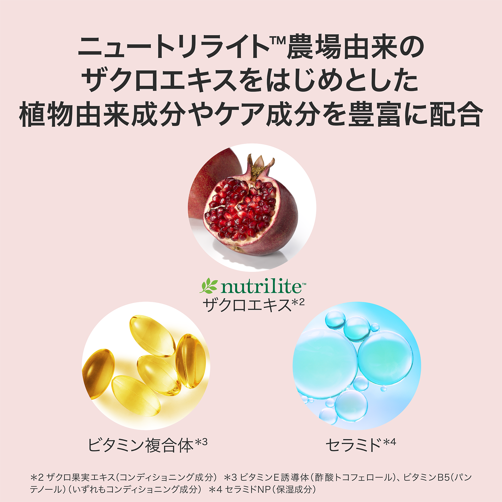クリーム＆パウダー チーク オレンジ) ：Amway(日本アムウェイ