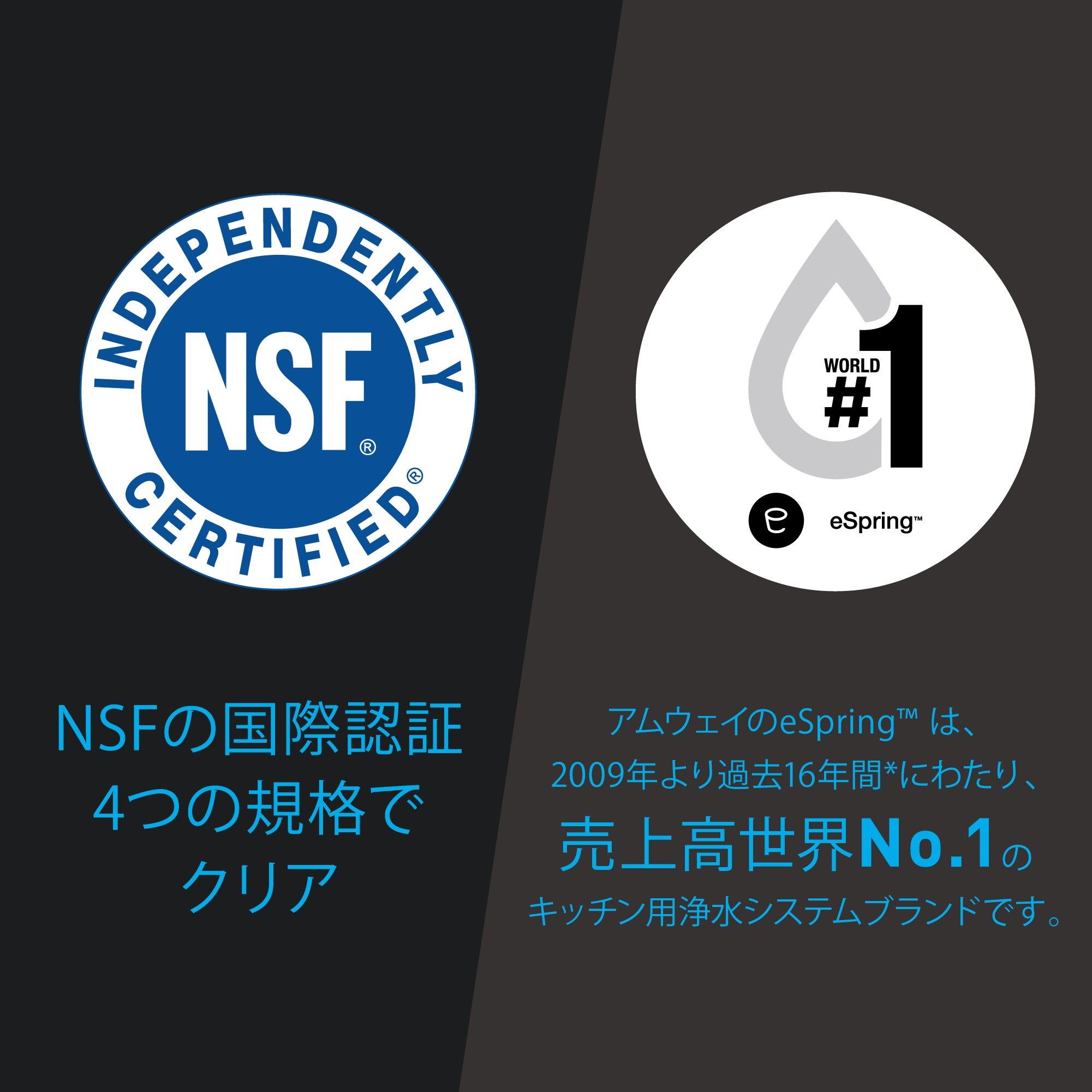 Amway eSpring 3個セット 箱入り 浄水器Ⅲ 据置型 5年保証付き) ：Amway(日本アムウェイ) | amwaylive