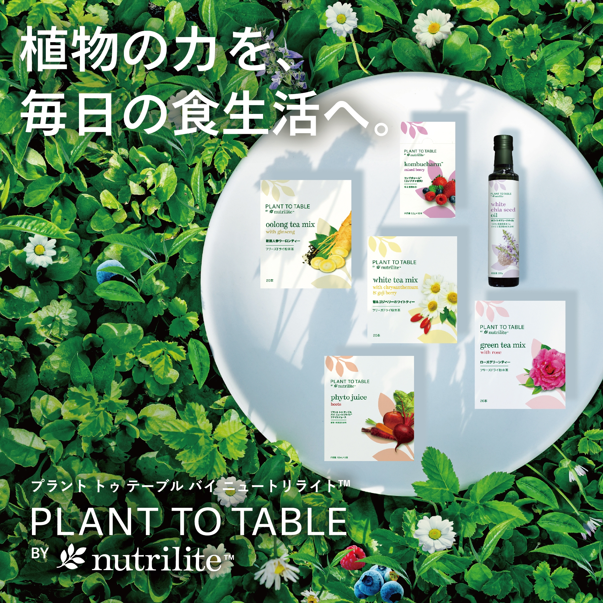 Plant to Table by Nutrilite ローズグリーンティー：Amway(アムウェイ)Shopping