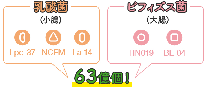 First20 ニュートリ プロバイオ | amwaylive