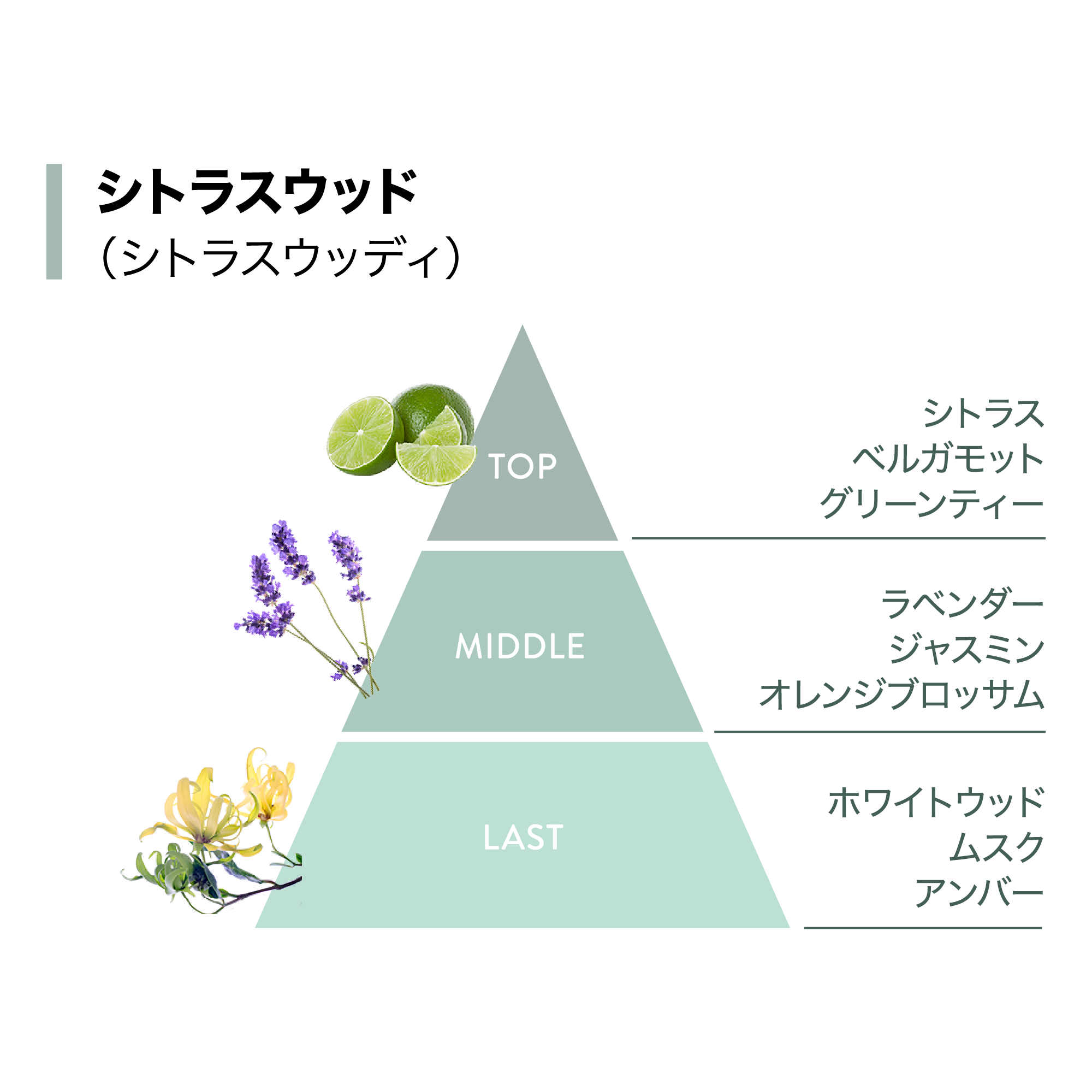 Amwayコーニングセット Amwayコーニングセット