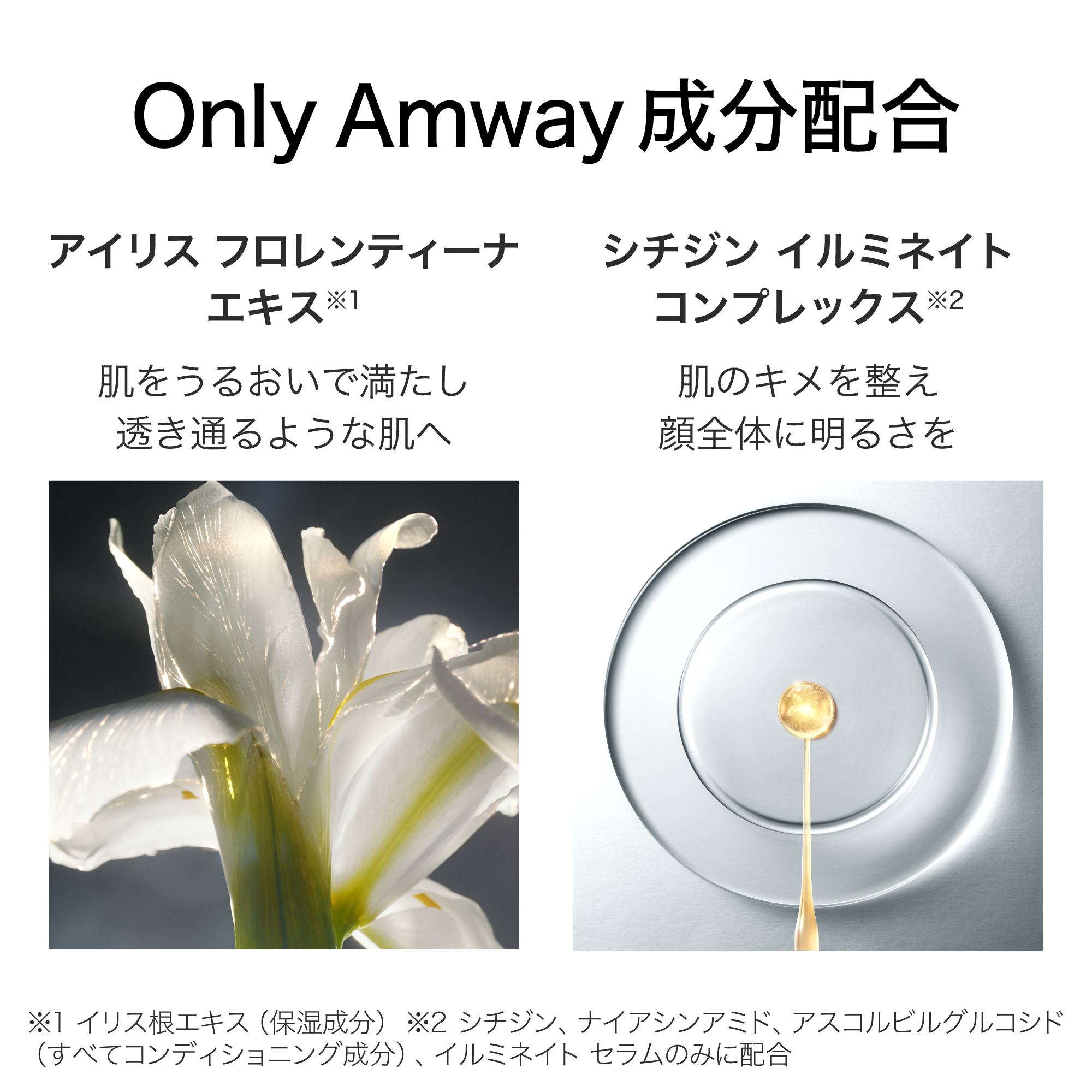 イルミネイトシステム) :Amway(日本アムウェイ) | amwaylive イルミネイトシステム) :Amway(日本アムウェイ) | amwaylive
