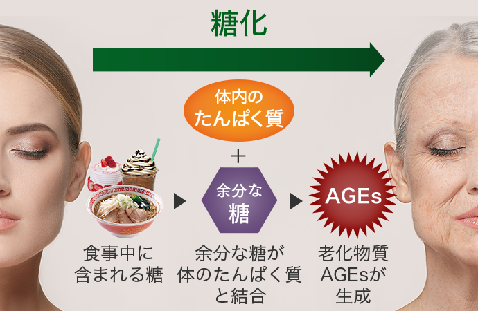 Amway - ぱんだ虫さん専用です Amazon.co.jp: 住化エンバイロメンタルサイエンス 業務用