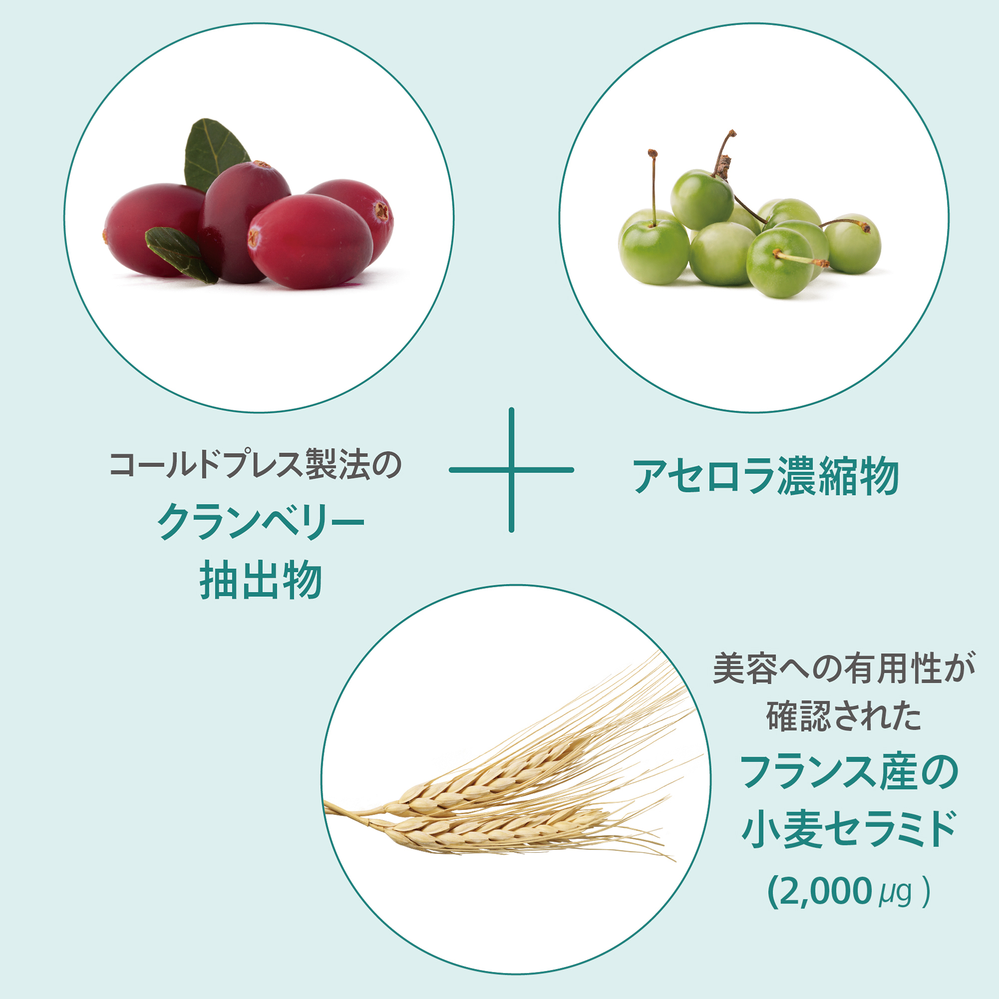 トゥルーアクア パウダードリンク) ：Amway(日本アムウェイ) | amwaylive