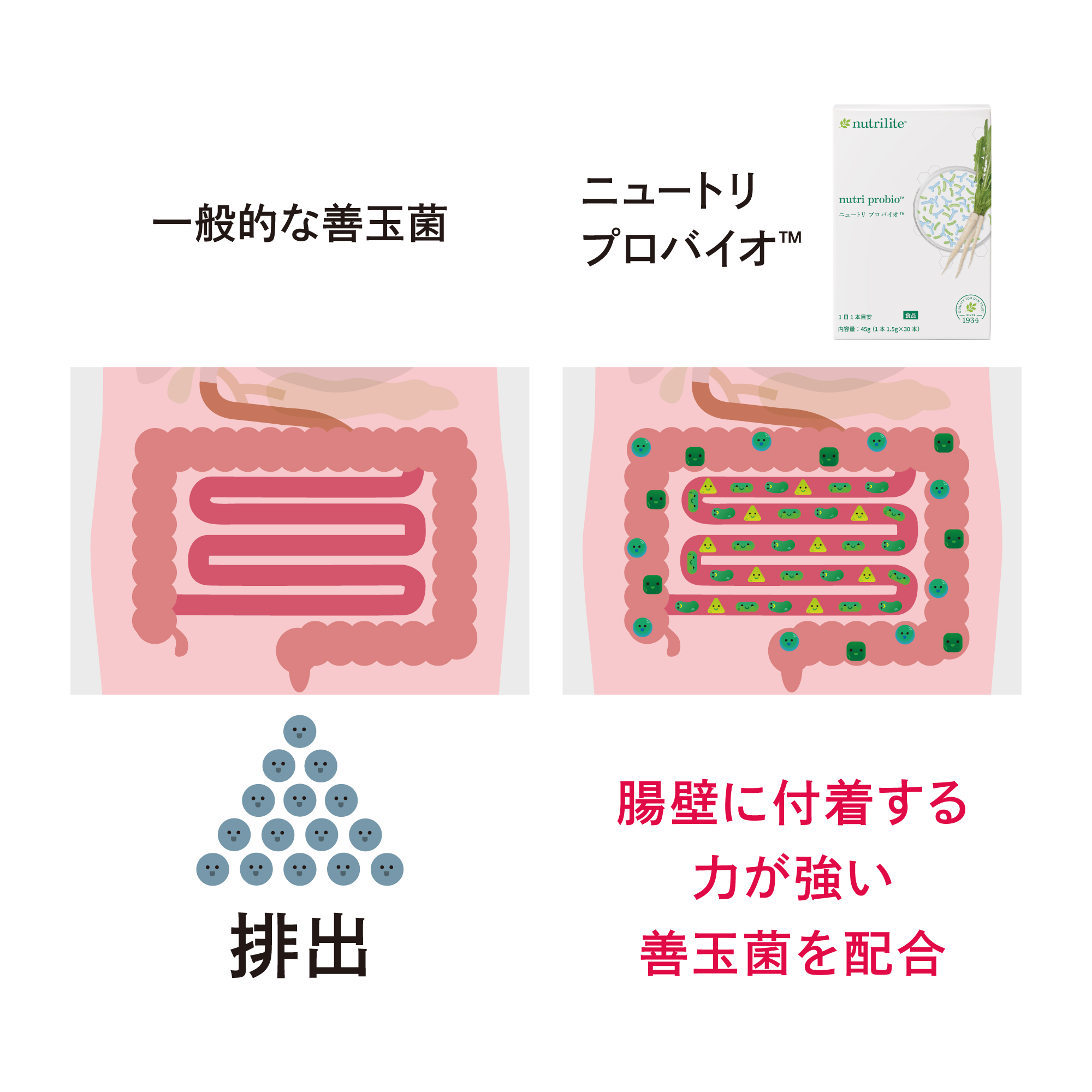 ニュートリ プロバイオ) ：Amway(日本アムウェイ) | amwaylive