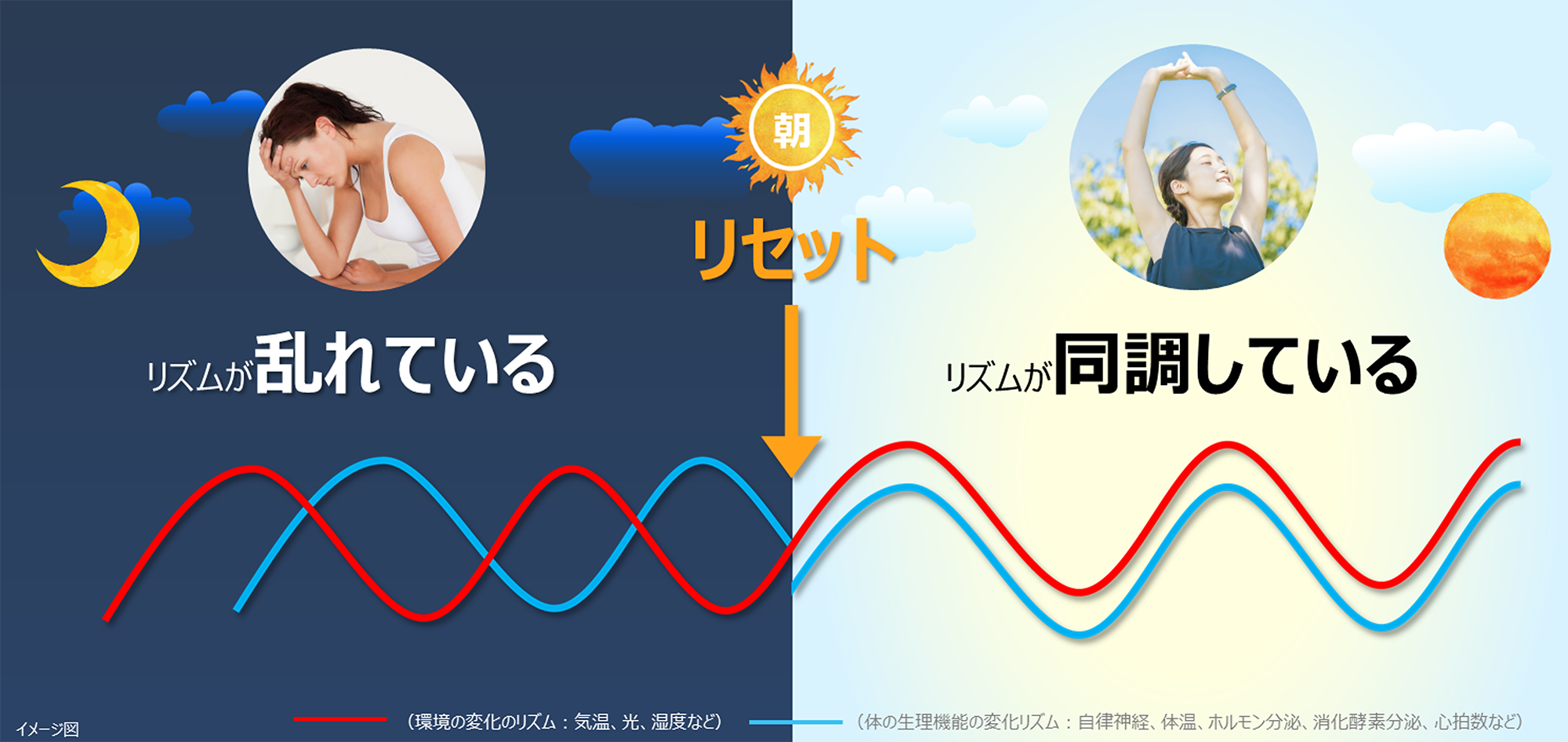 My朝セット (抹茶)) ：Amway(日本アムウェイ) | amwaylive