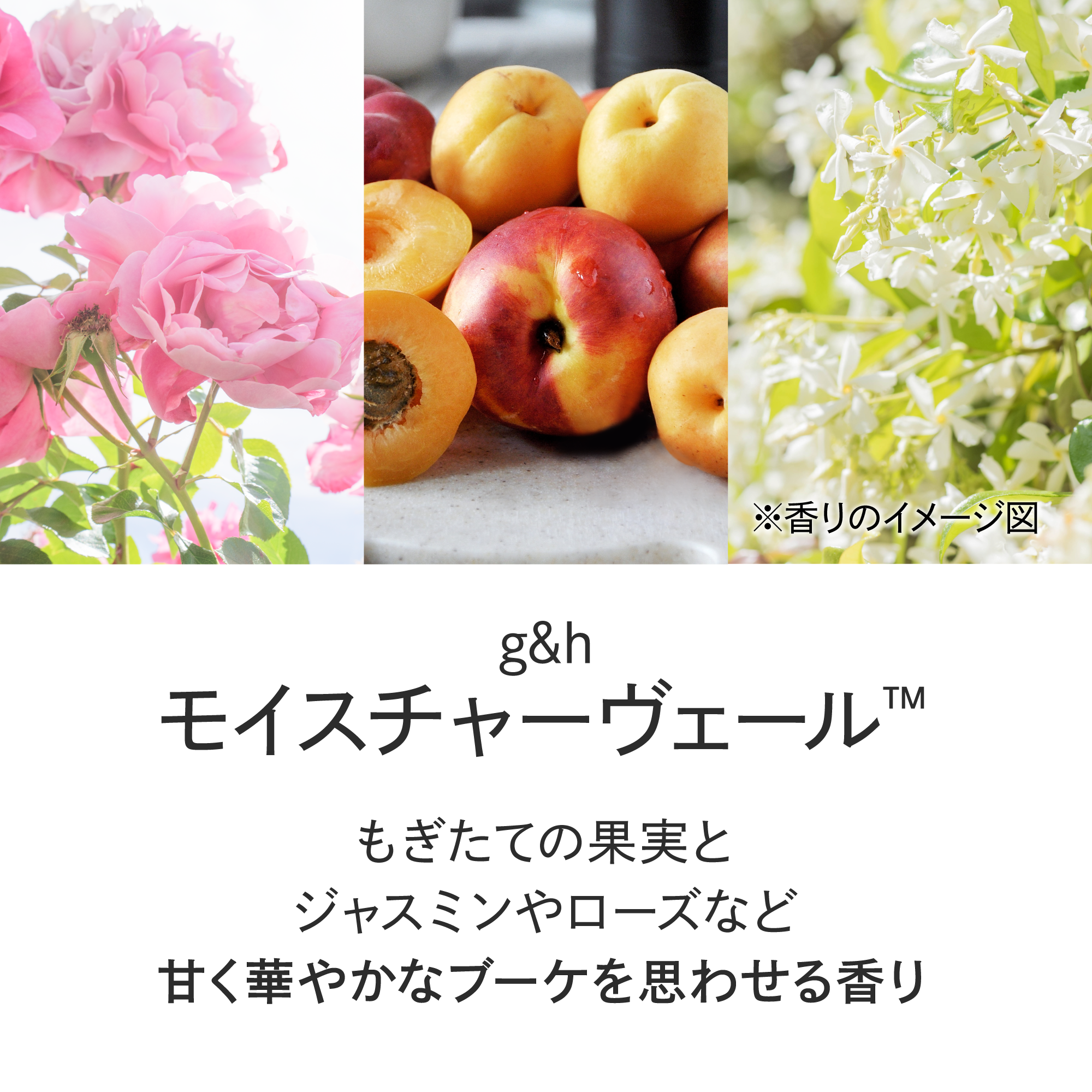 モイスチャーヴェール ボディミルク) ：Amway(日本アムウェイ
