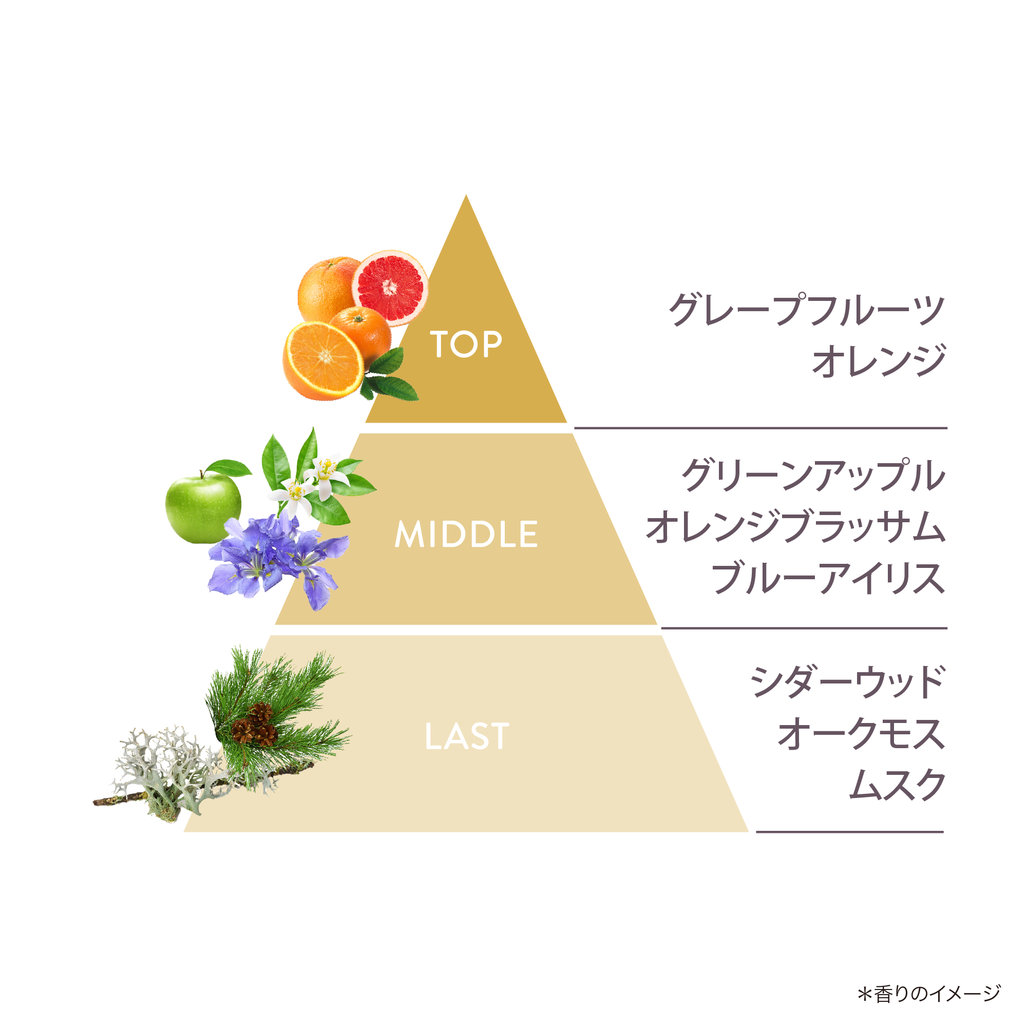 ロンジェビティ トリートメント ローション) ：Amway(日本アムウェイ