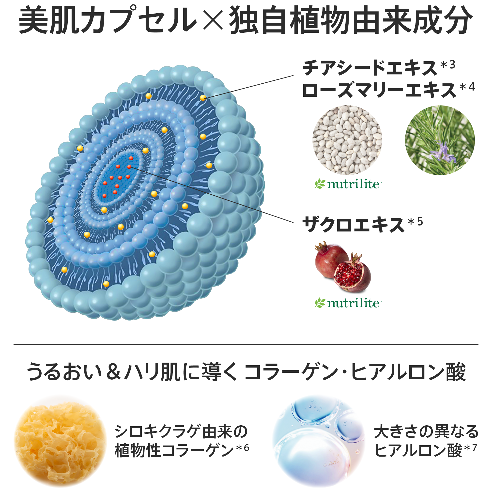 アムウェイ ファンデーション 成分