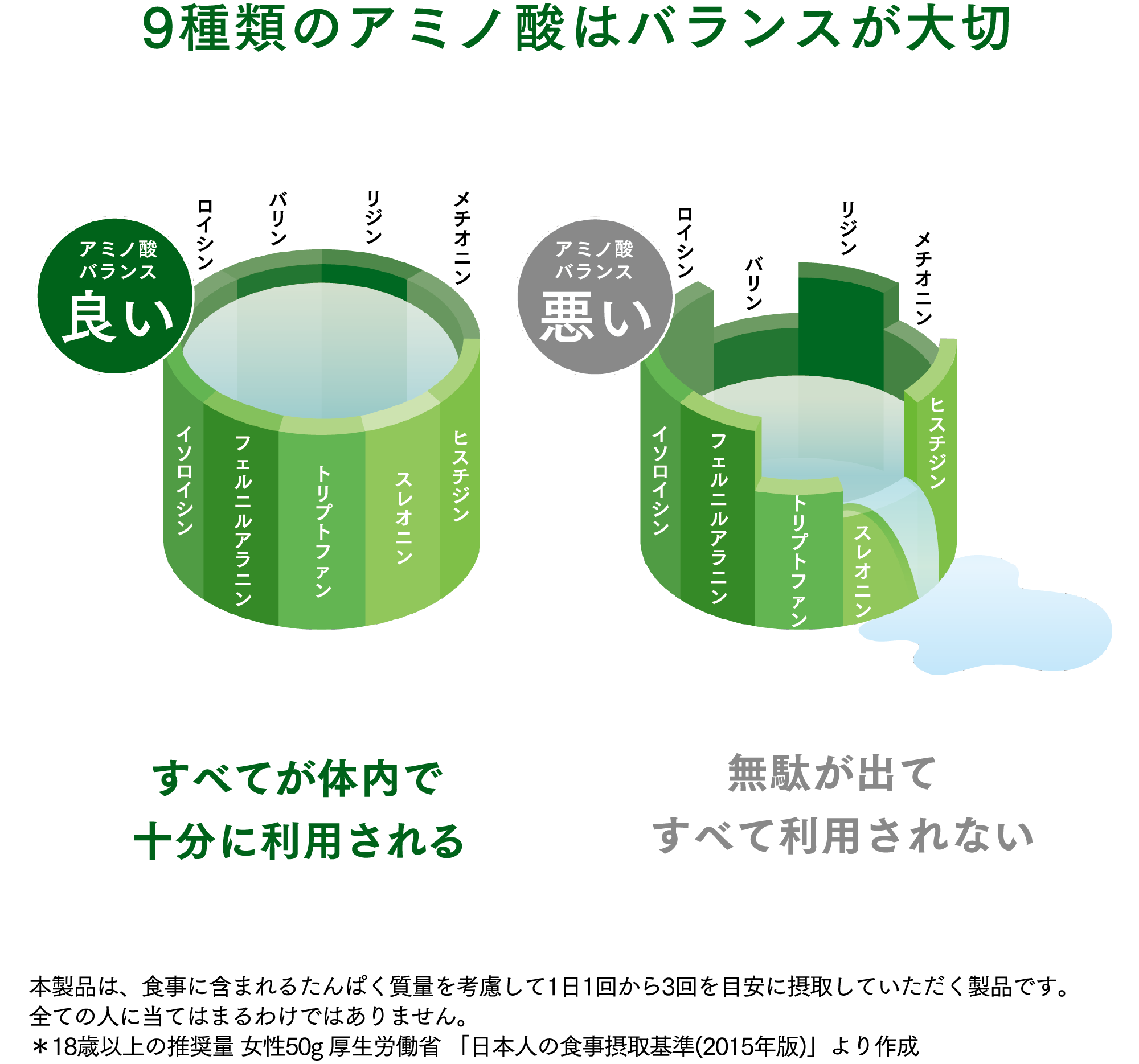 バランス プロテイン ミックス（チョコレート） お徳用) ：Amway(日本