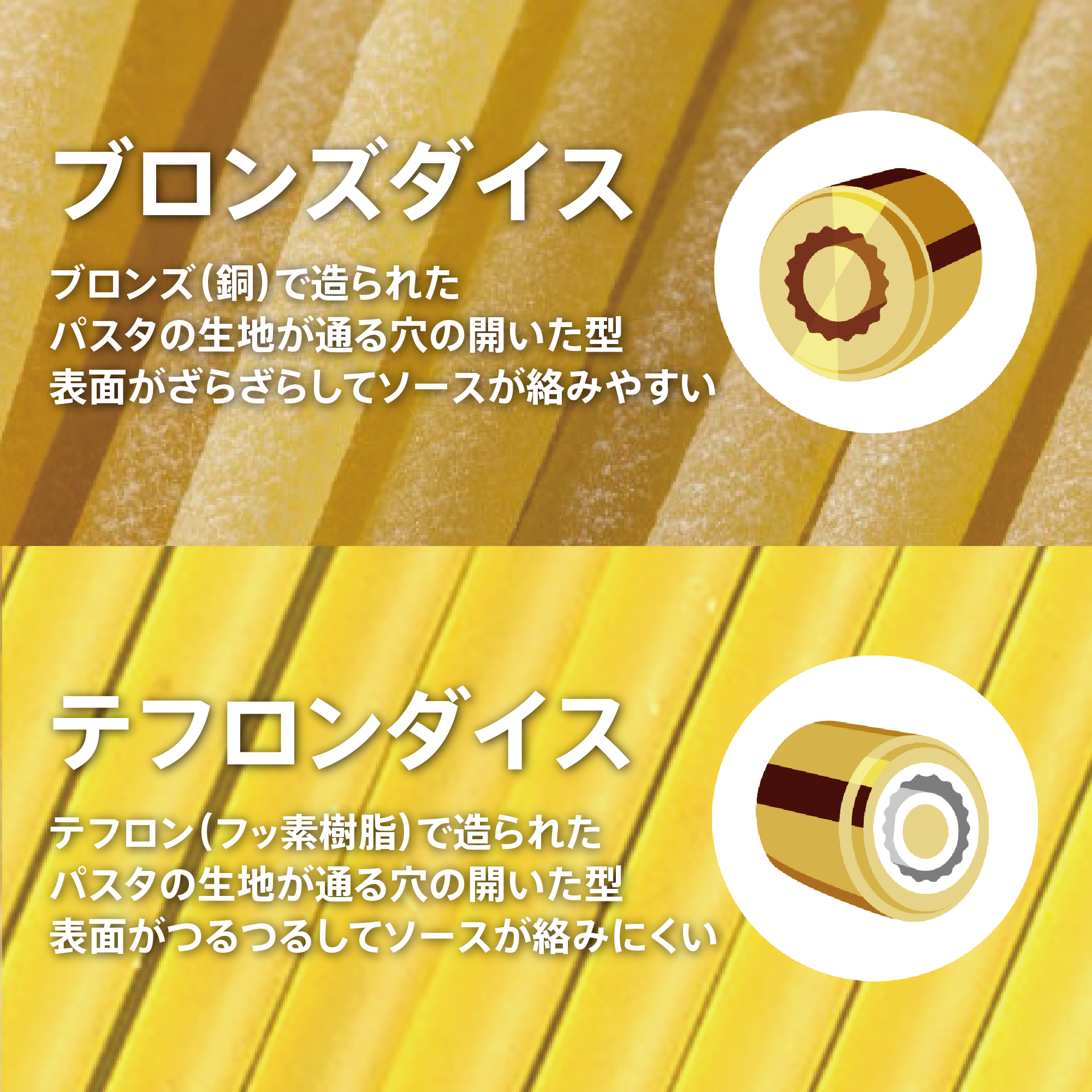 10円基金対象】スパゲティーニ) ：Amway(日本アムウェイ