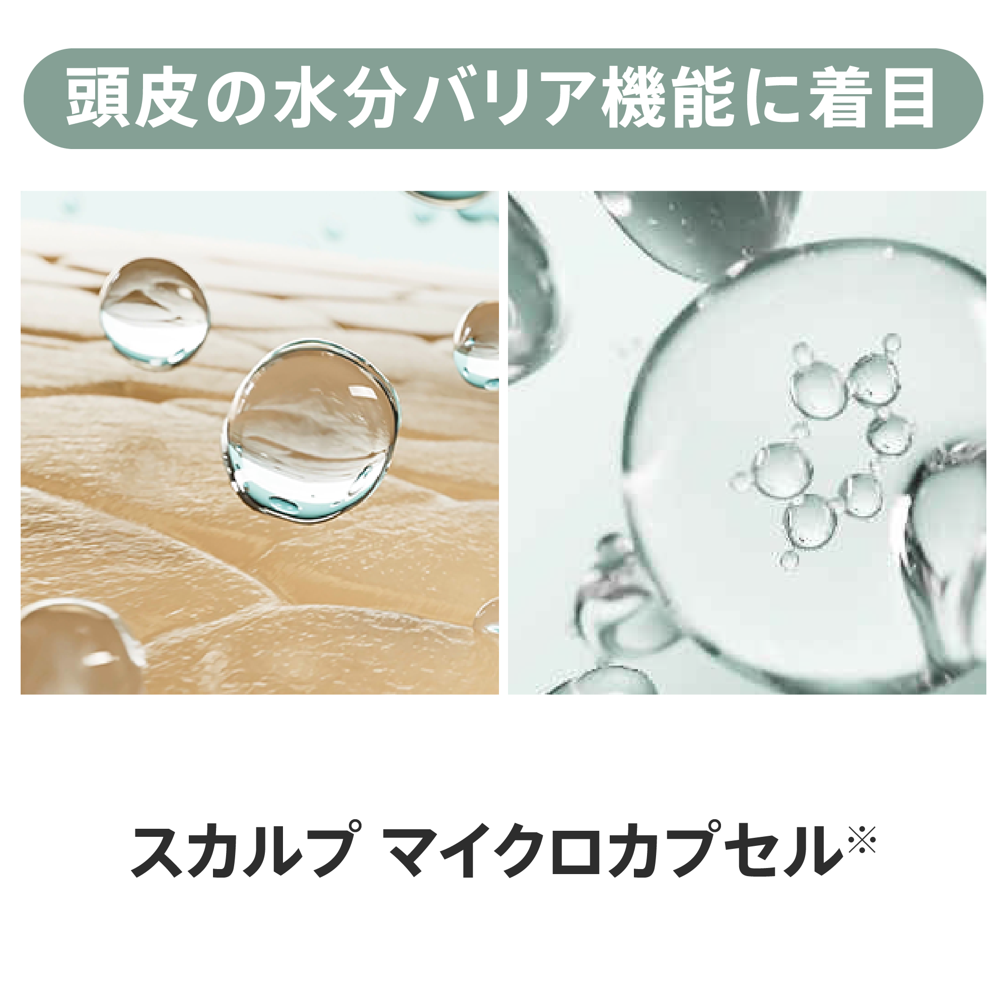 フィールクリーン シャンプー （地肌ケア） 750mL) ：Amway(日本
