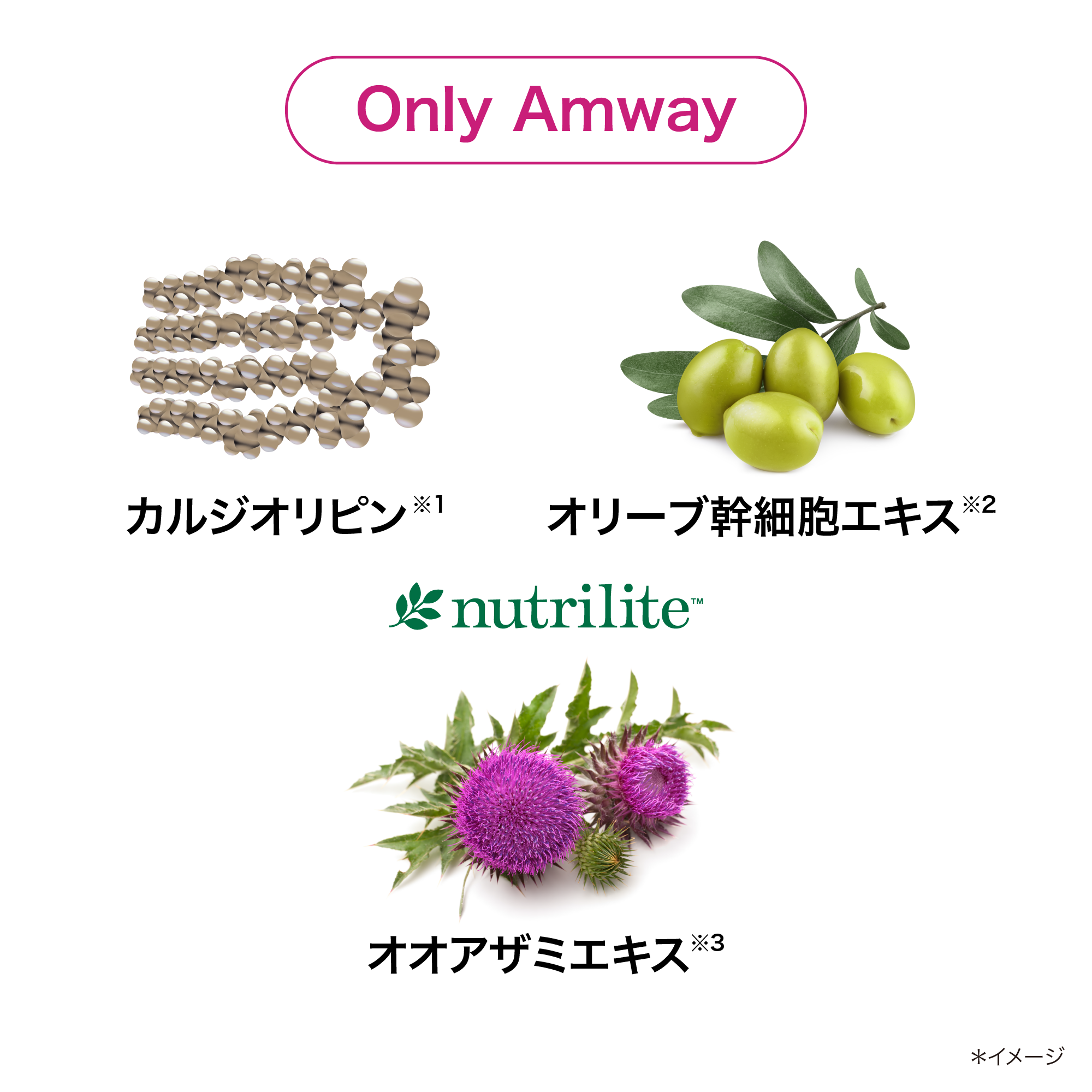 ロンジェビティ トリートメント ローション) ：Amway(日本アムウェイ