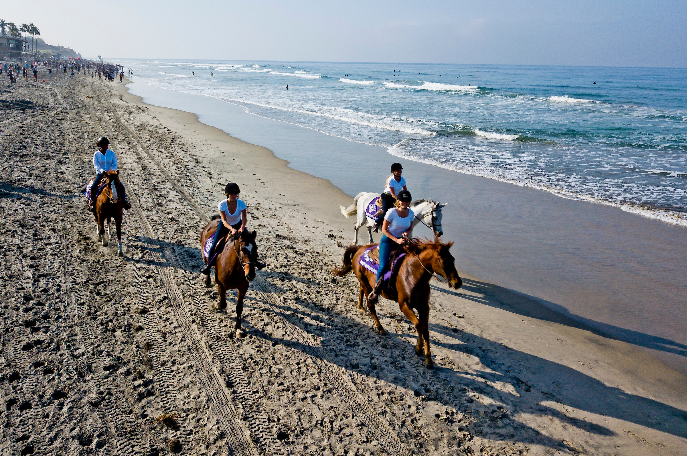 Making the Most of the Moment: A Guide to Visiting Del Mar