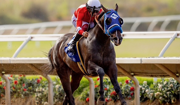 2024 BREEDERS' CUP まとめセット 75897300007-jonathans-way.jpg?
