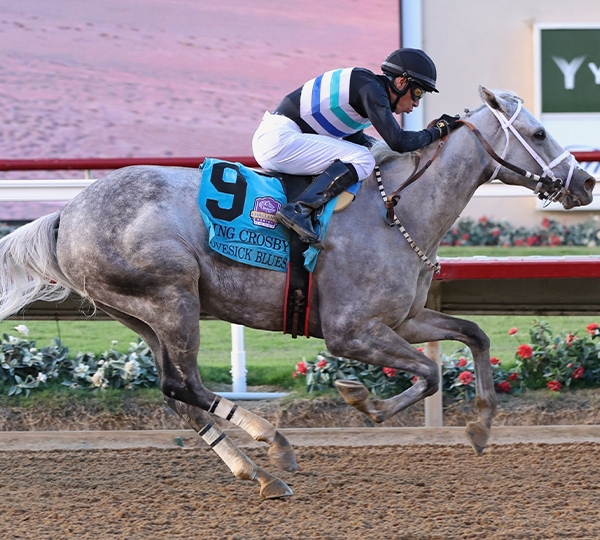 2024 BREEDERS' CUP まとめセット 2024 BREEDERS' CUP まとめセット