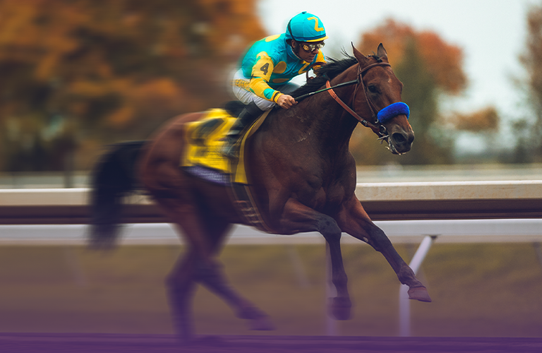 Breeders' Cup | Oct. 30-31, 2026