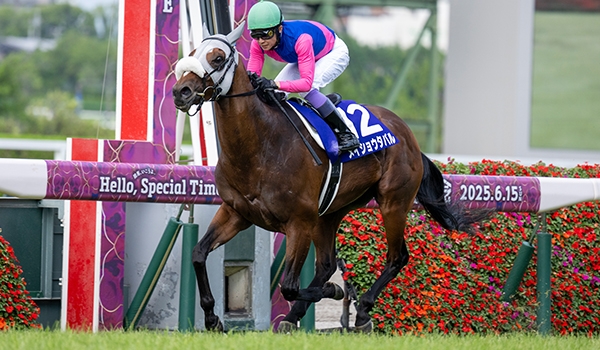 2024 Breeders' Cup Classic Cheat Sheet: Get to Know the