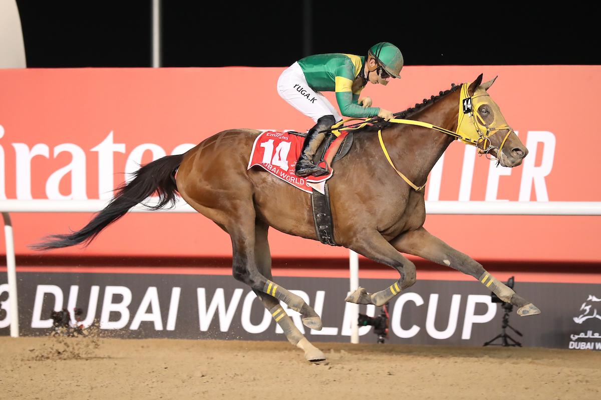 International Horses To Know For The 2023 Breeders' Cup World Championships