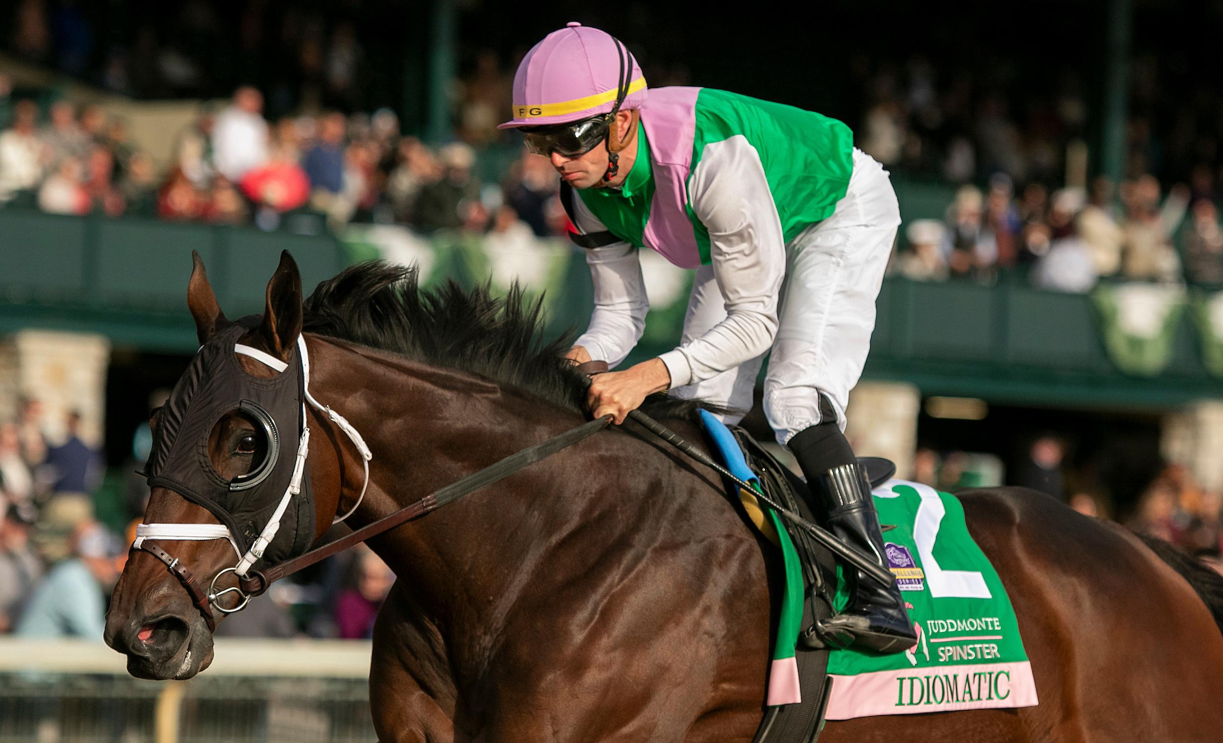 Using History as a Guide to Analyzing the 2023 Breeders Cup Distaff