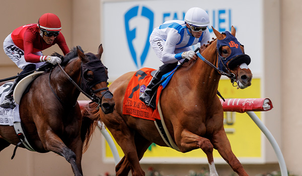 2024 BREEDERS' CUP まとめセット 2024 BREEDERS' CUP まとめセット
