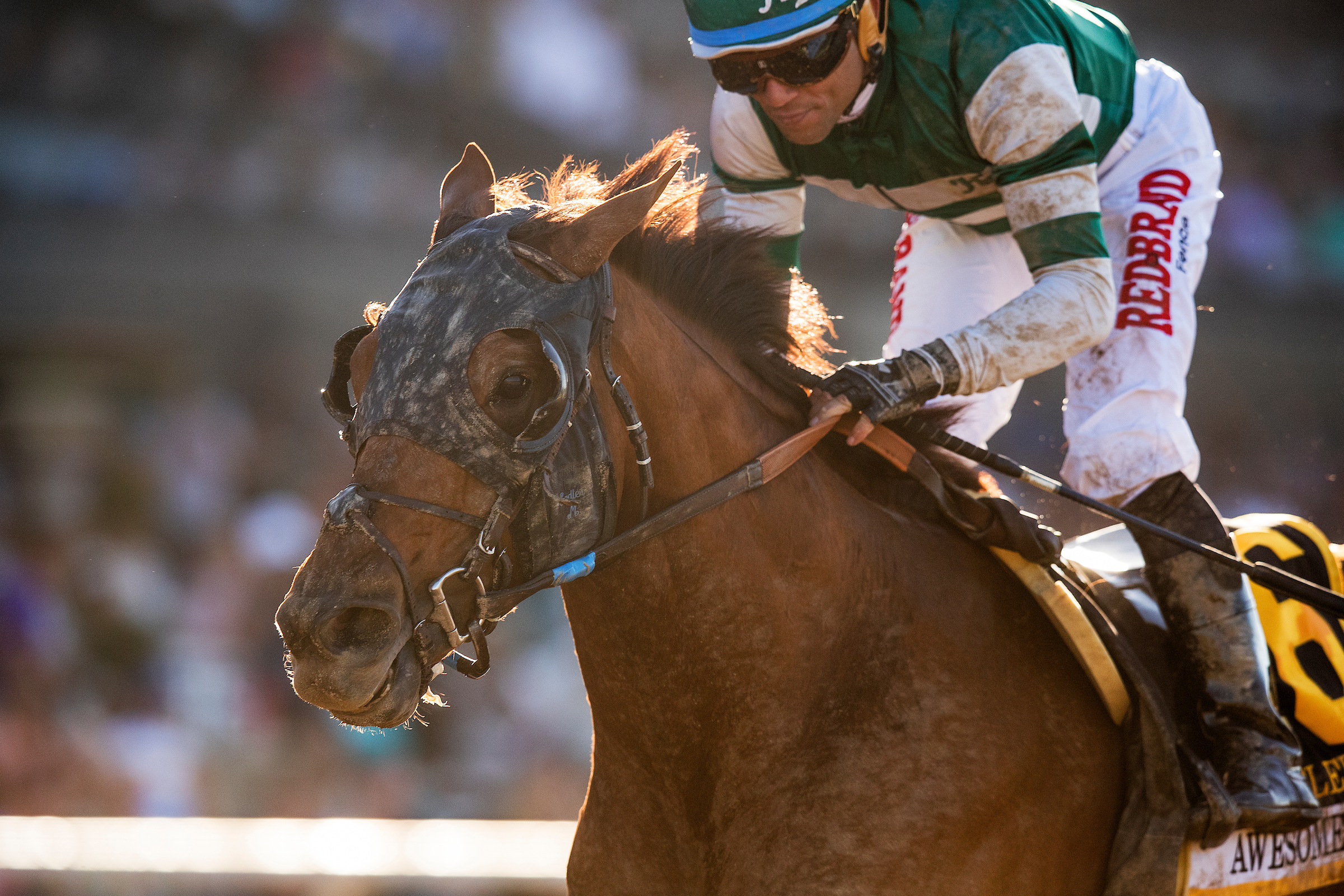 Accelerate takes on fresh West Coast in Awesome Again Stakes
