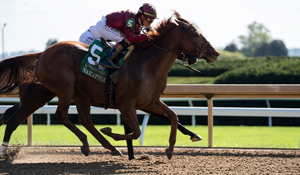 2024 BREEDERS' CUP まとめセット Breeders' Cup 2024 Top Contenders on HorseCenter - YouTube