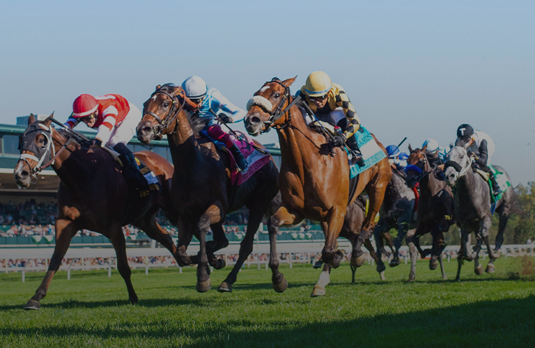 2024 BREEDERS' CUP まとめセット Breeders' Cup 2024: Juvenile (Full Race) | NBC Sports - YouTube