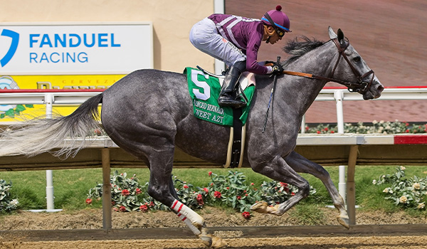 Breeders' Cup | Oct. 31 & Nov. 1 2025