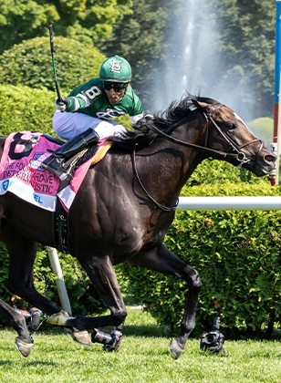 2024 BREEDERS' CUP まとめセット 2024 BREEDERS' CUP: JAPANESE HORSES PREVIEW - YouTube
