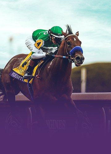 Breeders' Cup | Oct. 30-31, 2026