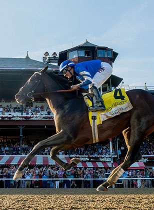 Breeders' Cup | Oct. 31 & Nov. 1 2025