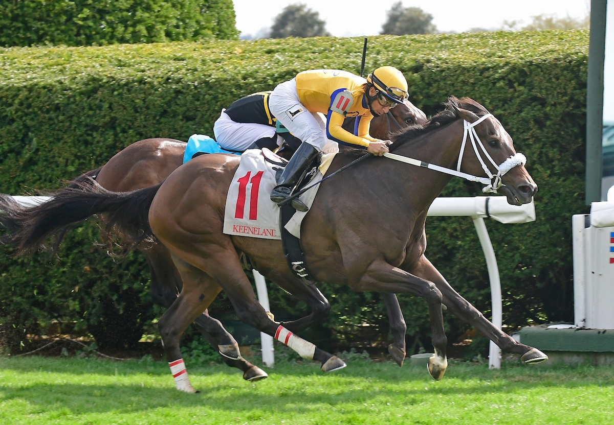 Imprimis Outduels Rivals to Win Runhappy Turf Sprint