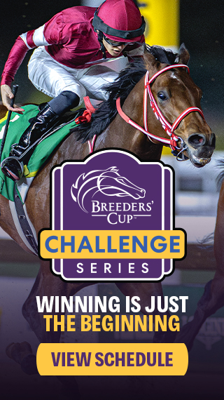 BREEDERS' CUP UNVEILS OFFICIAL 2024 WORLD CHAMPIONSHIPS ARTWORK BY