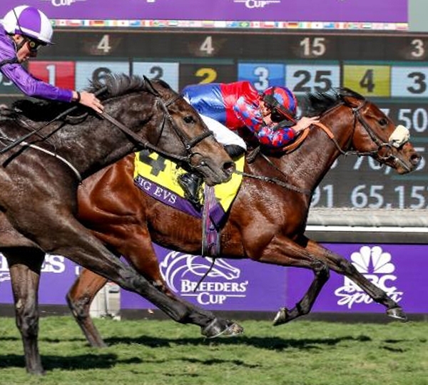 爆買いしたくなる Cup Breeders' World 2024 Championships 趣味