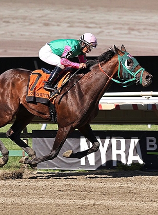 2024 BREEDERS' CUP まとめセット 2024 Breeders' Cup Classic Cheat Sheet: Get to Know the