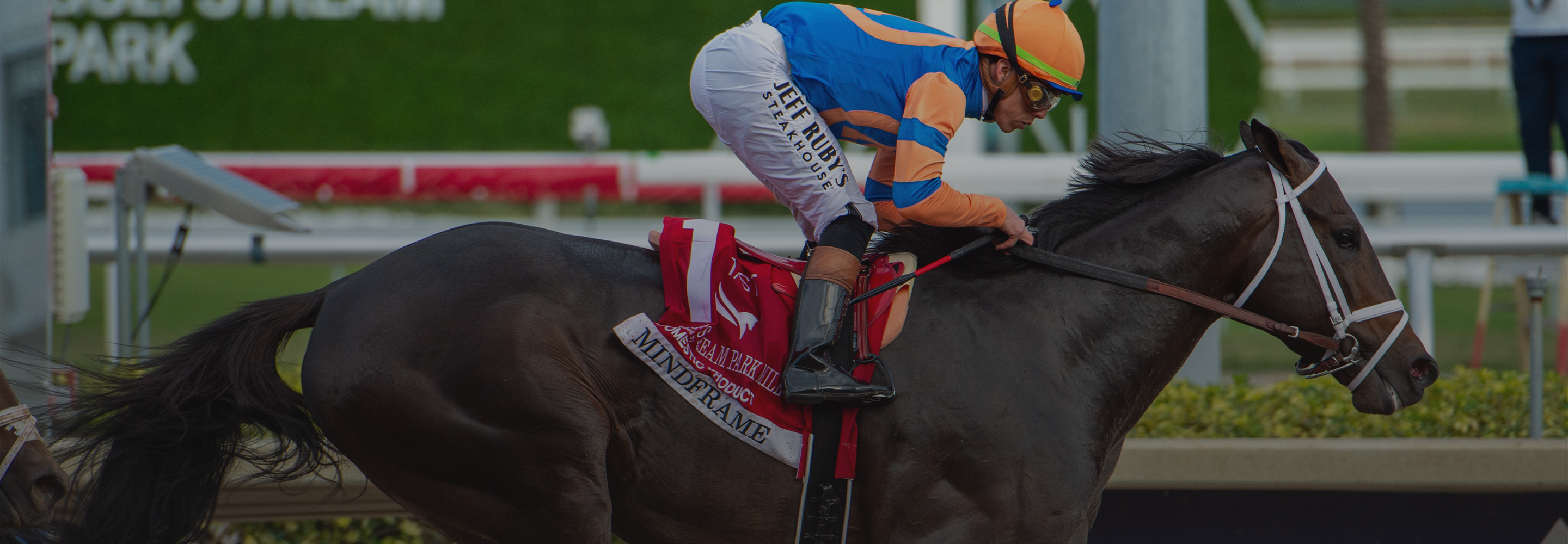 Mind Frame Without Rider Mindframe at the Breeders’ Cup