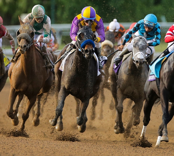 Using History as a Guide to Analyzing the 2023 Breeders Cup Distaff