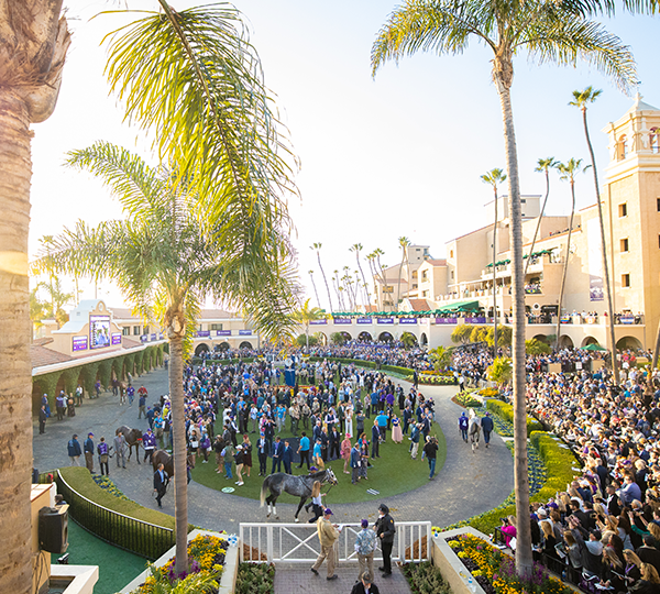 BREEDERS’ CUP ANNOUNCES DEL MAR AS HOST OF 2025 WORLD CHAMPIONSHIPS