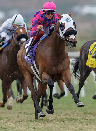 2024 BREEDERS' CUP まとめセット mqdefault.jpg