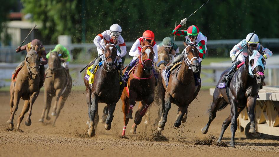 Using Breeders’ Cup Sprint History to Build Profile of Winner, Evaluate ...