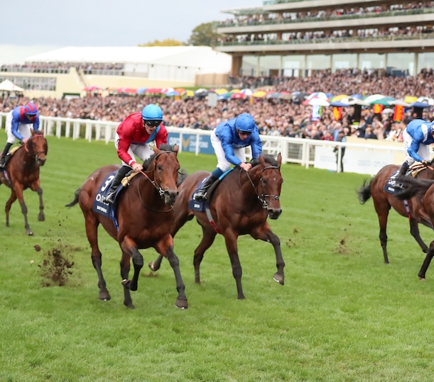 The Punisher upsets Pellegrini, earns Breeders' Cup Turf spot