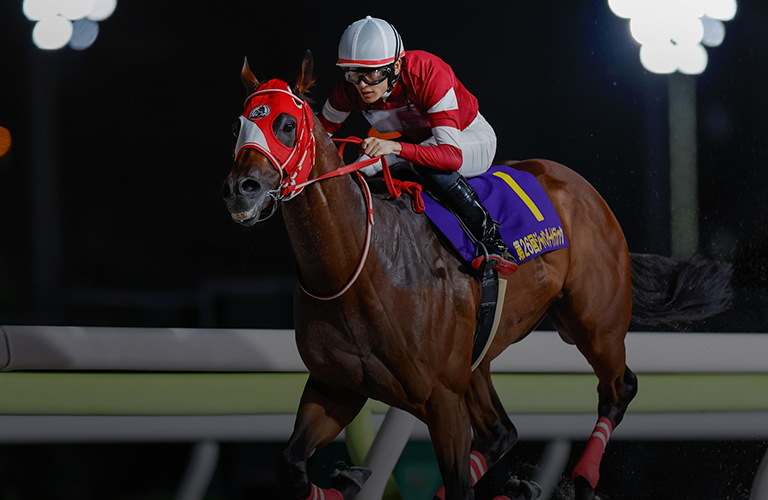Forever Young Aces Japan Prep for Breeders' Cup Classic