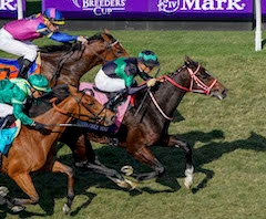 The Punisher upsets Pellegrini, earns Breeders' Cup Turf spot