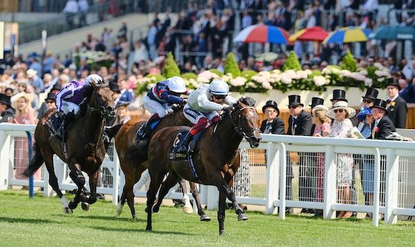 Palace Pier Wins Queen Anne Stakes at Royal Ascot and Gains Automatic ...